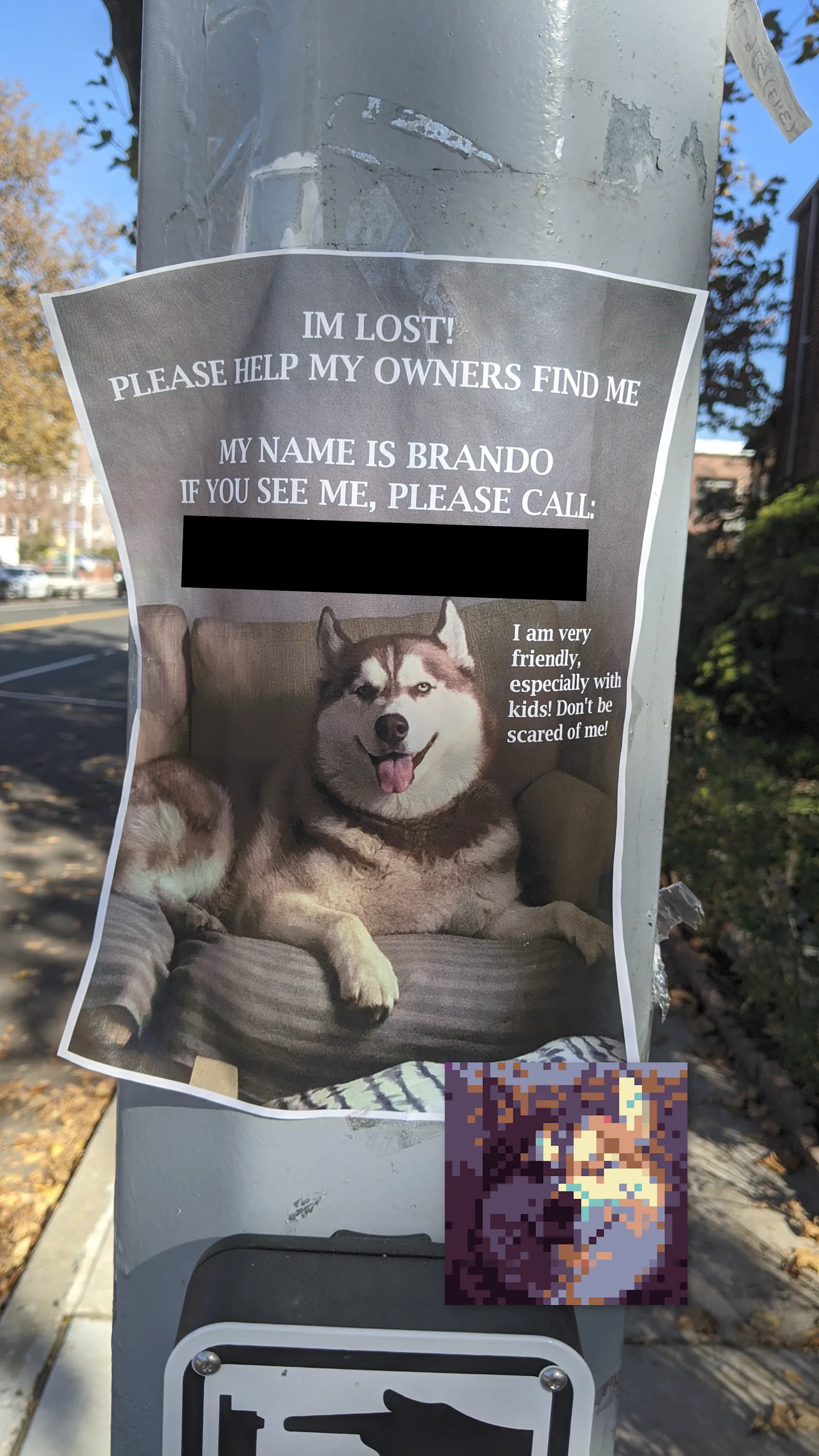 Brando