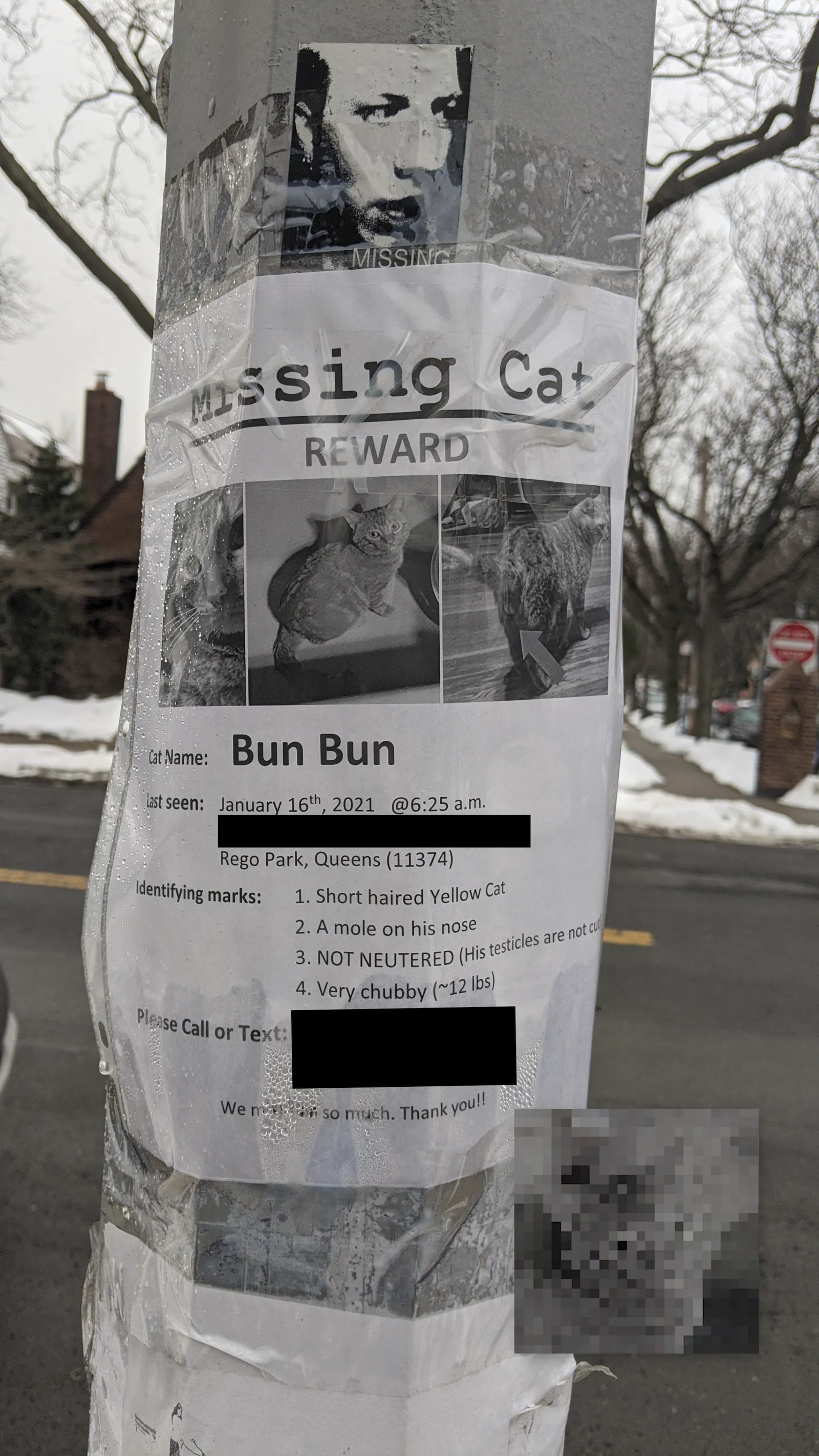 Bun Bun