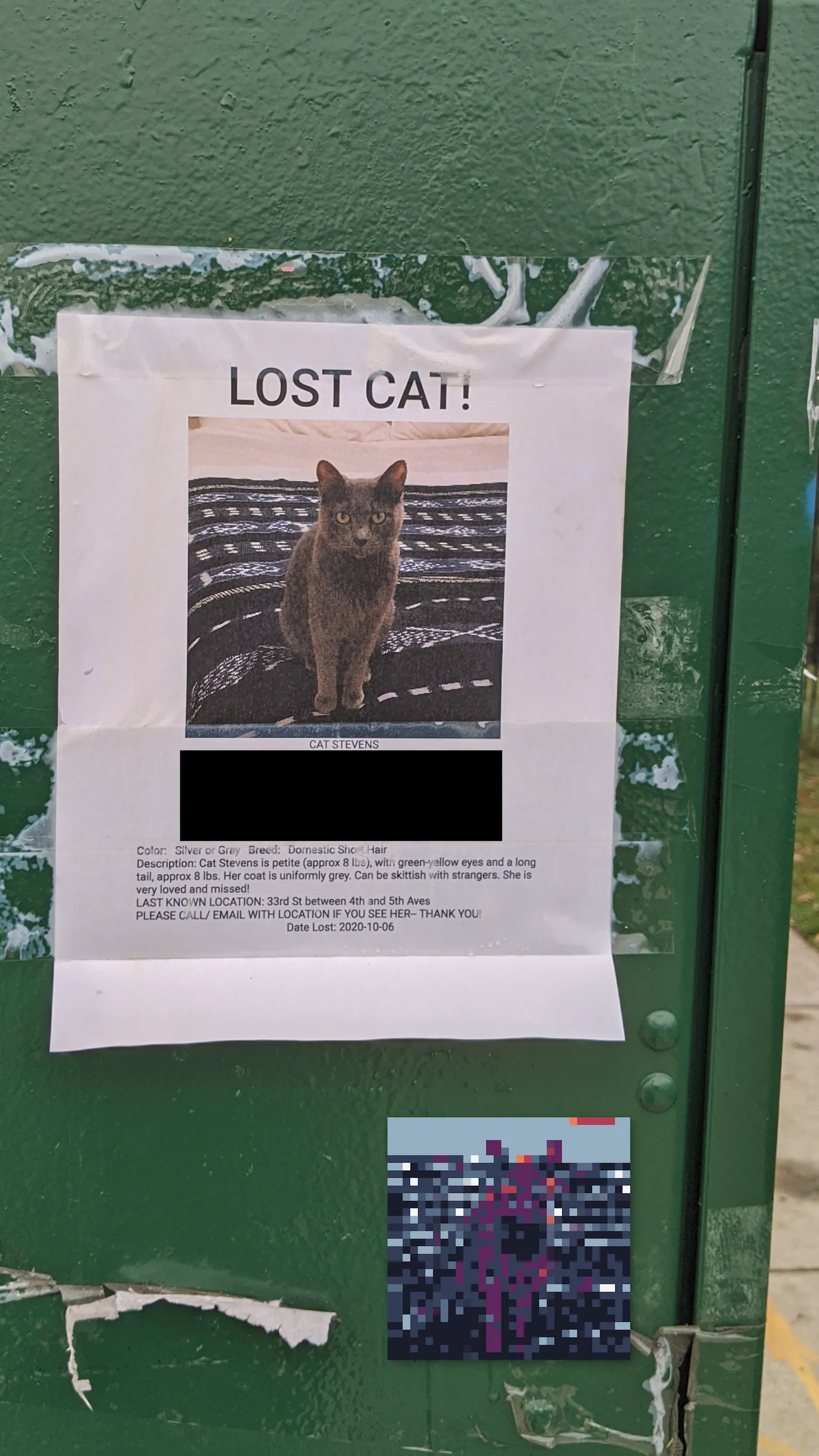 Cat Stevens