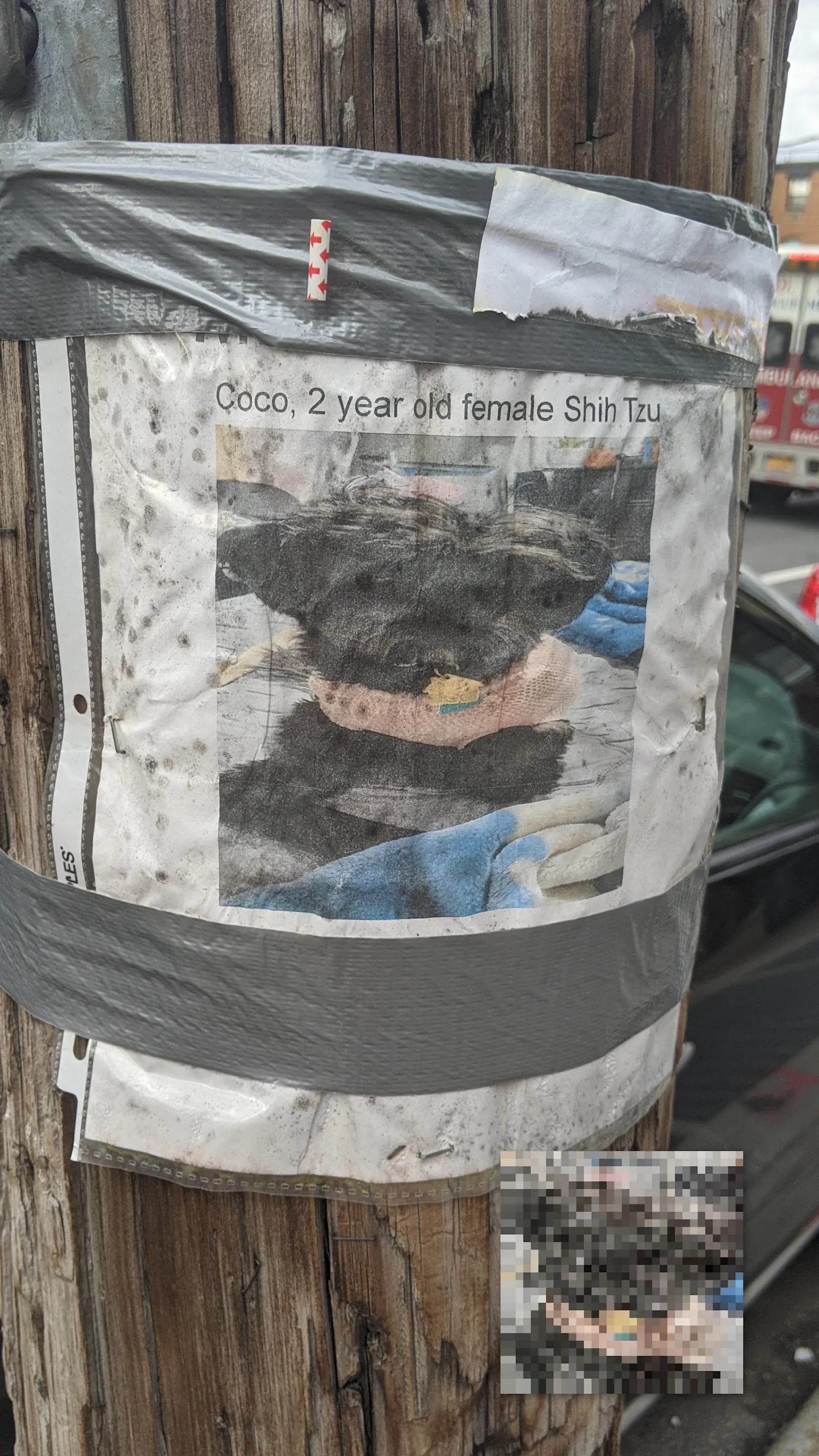 Coco