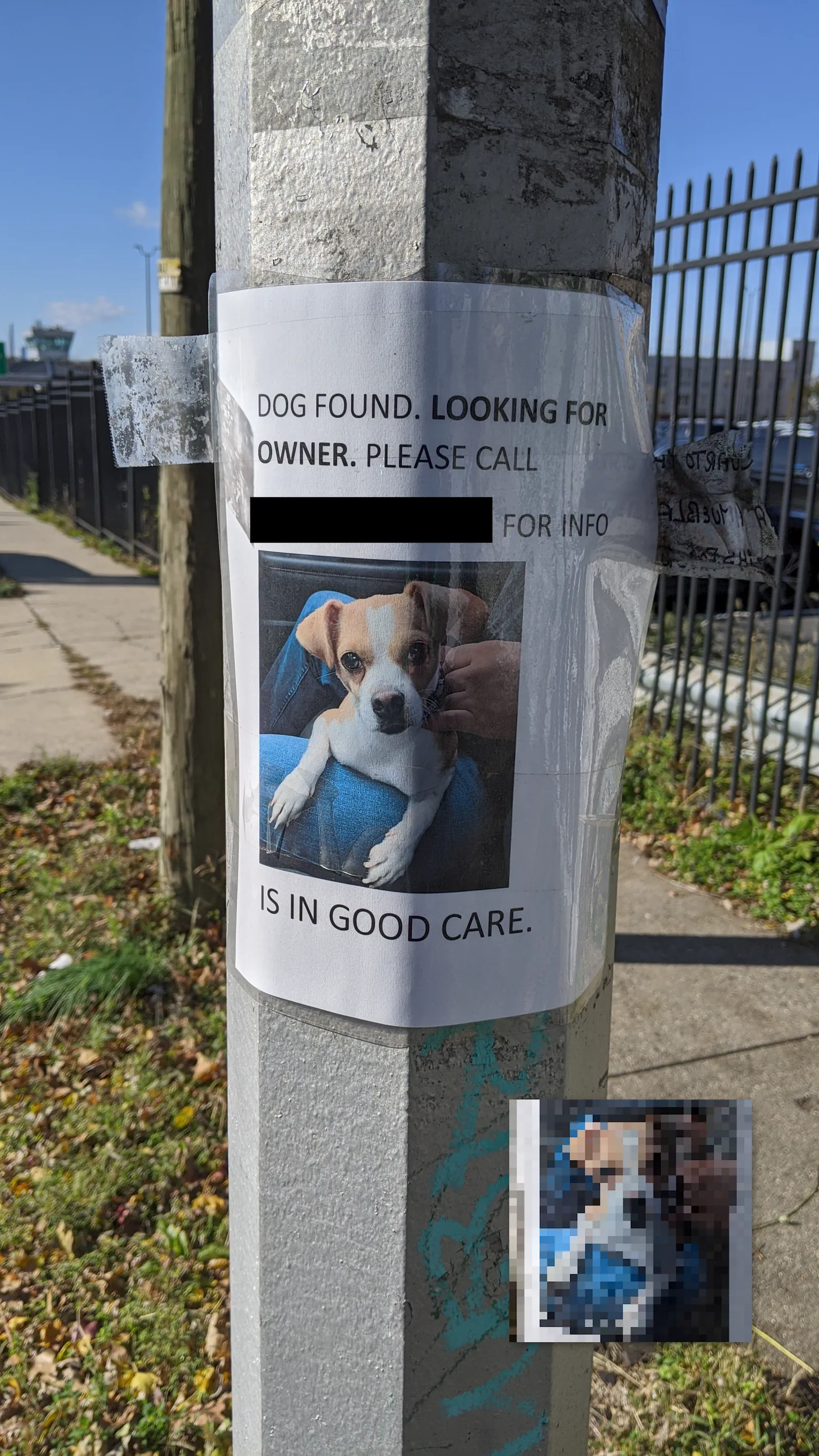 Found Boxer