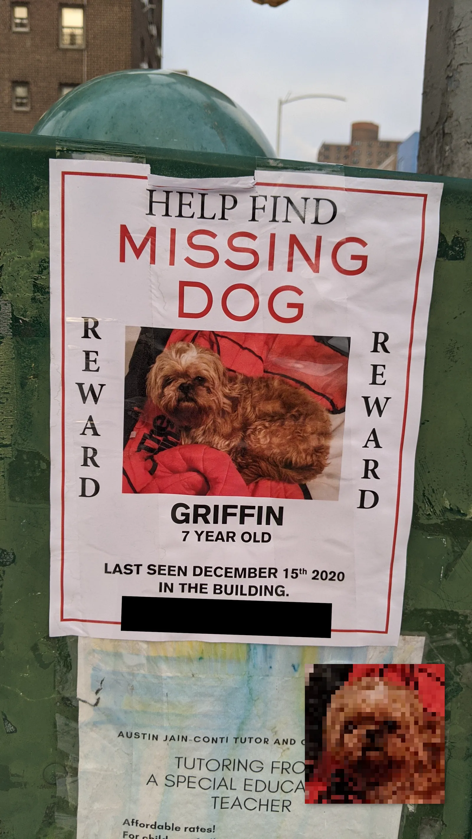 Griffin