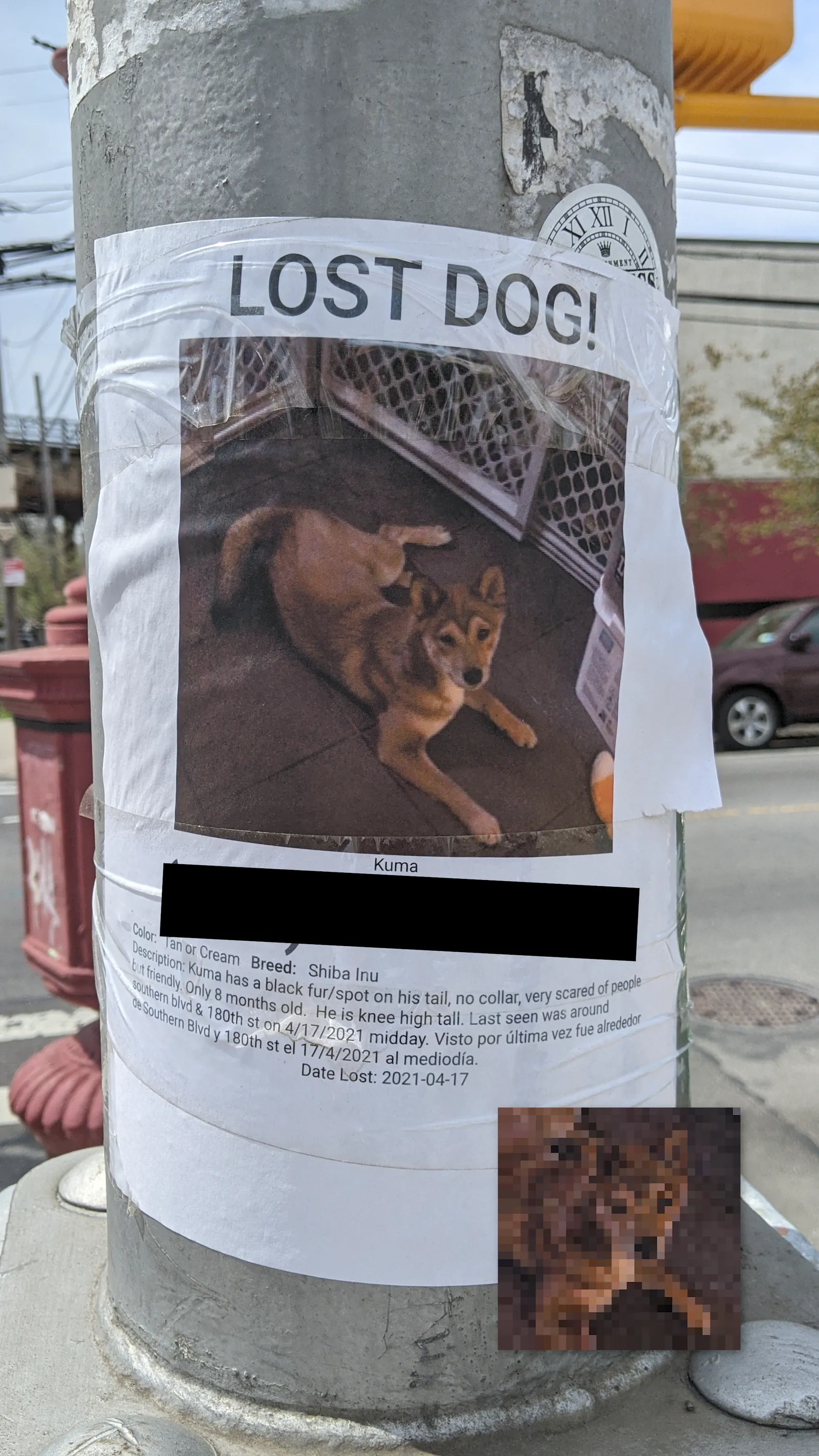 Kuma
