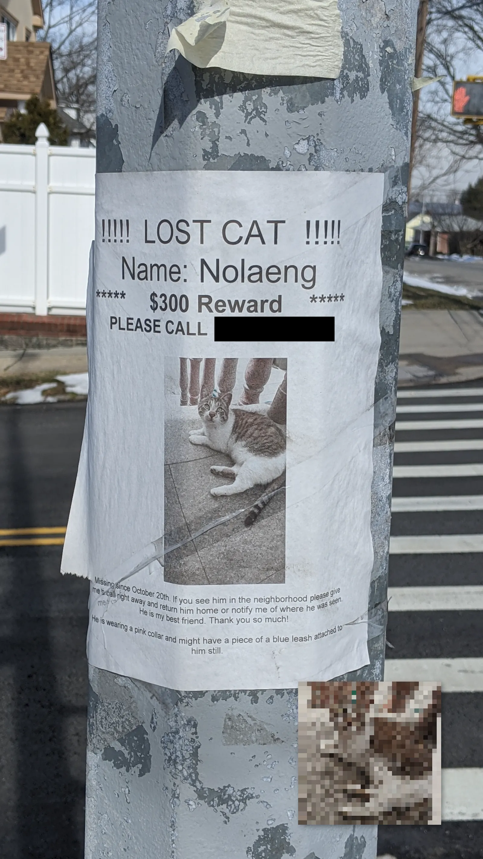 Nolaeng