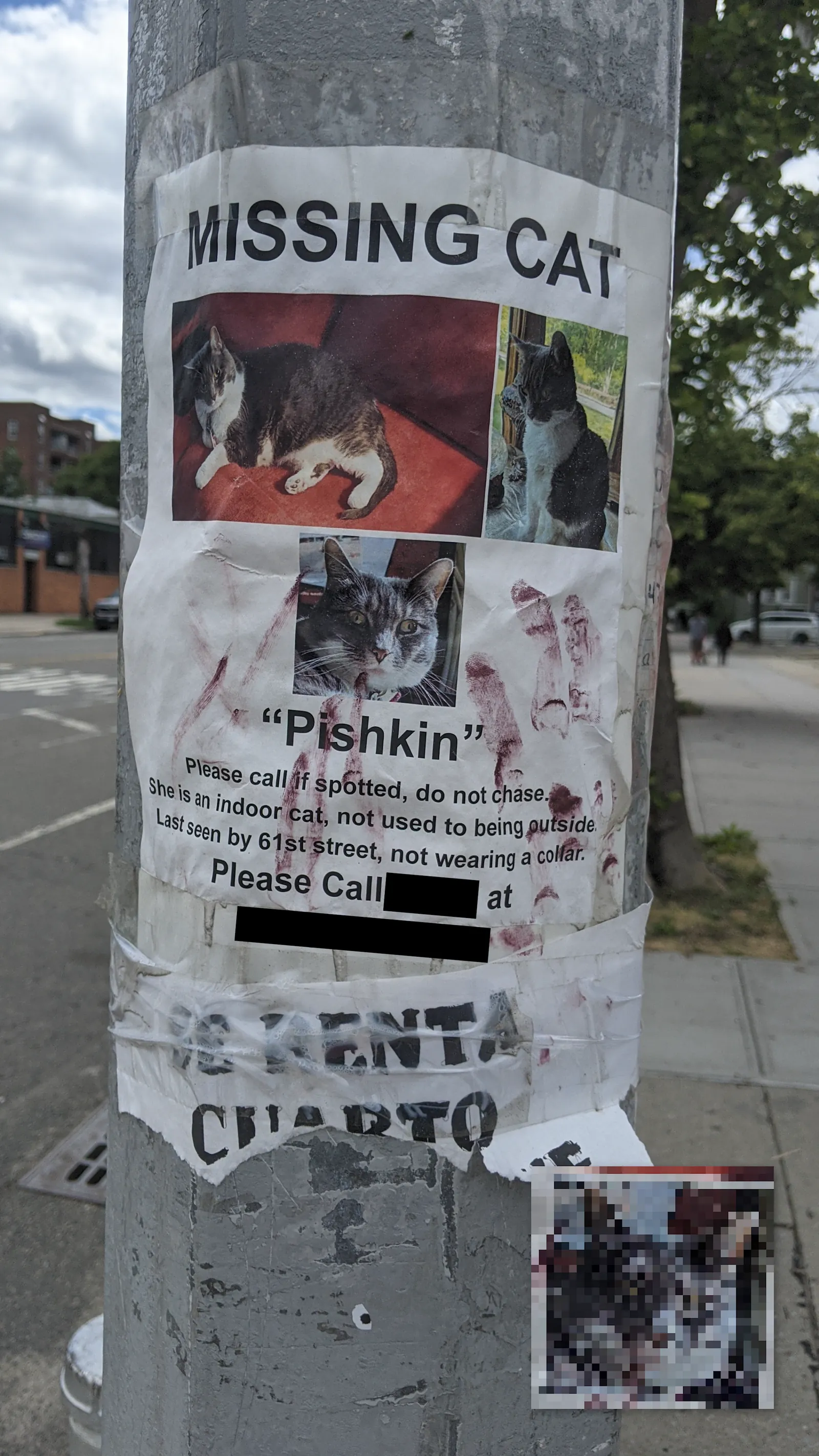 Pishkin