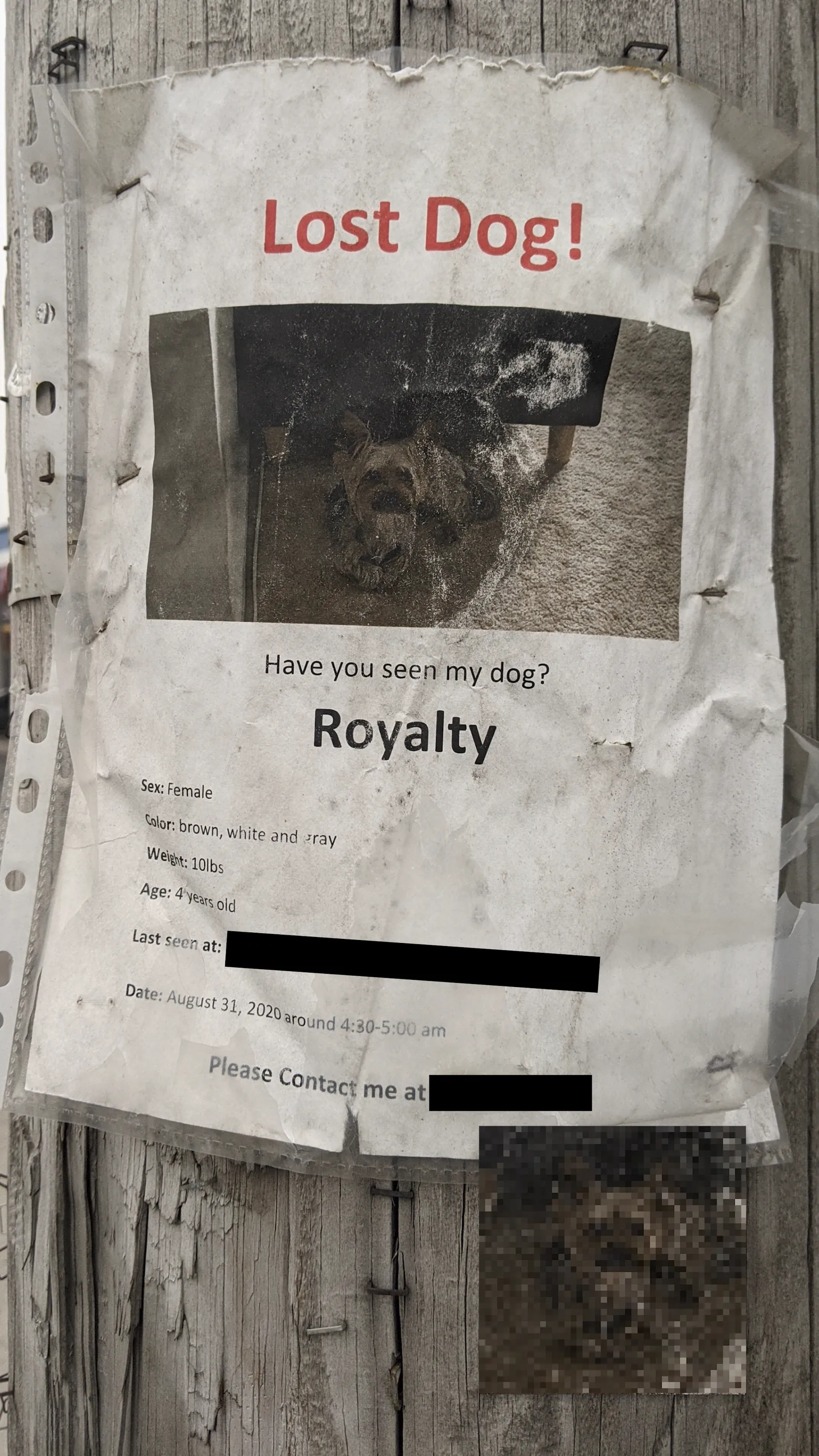 Royalty