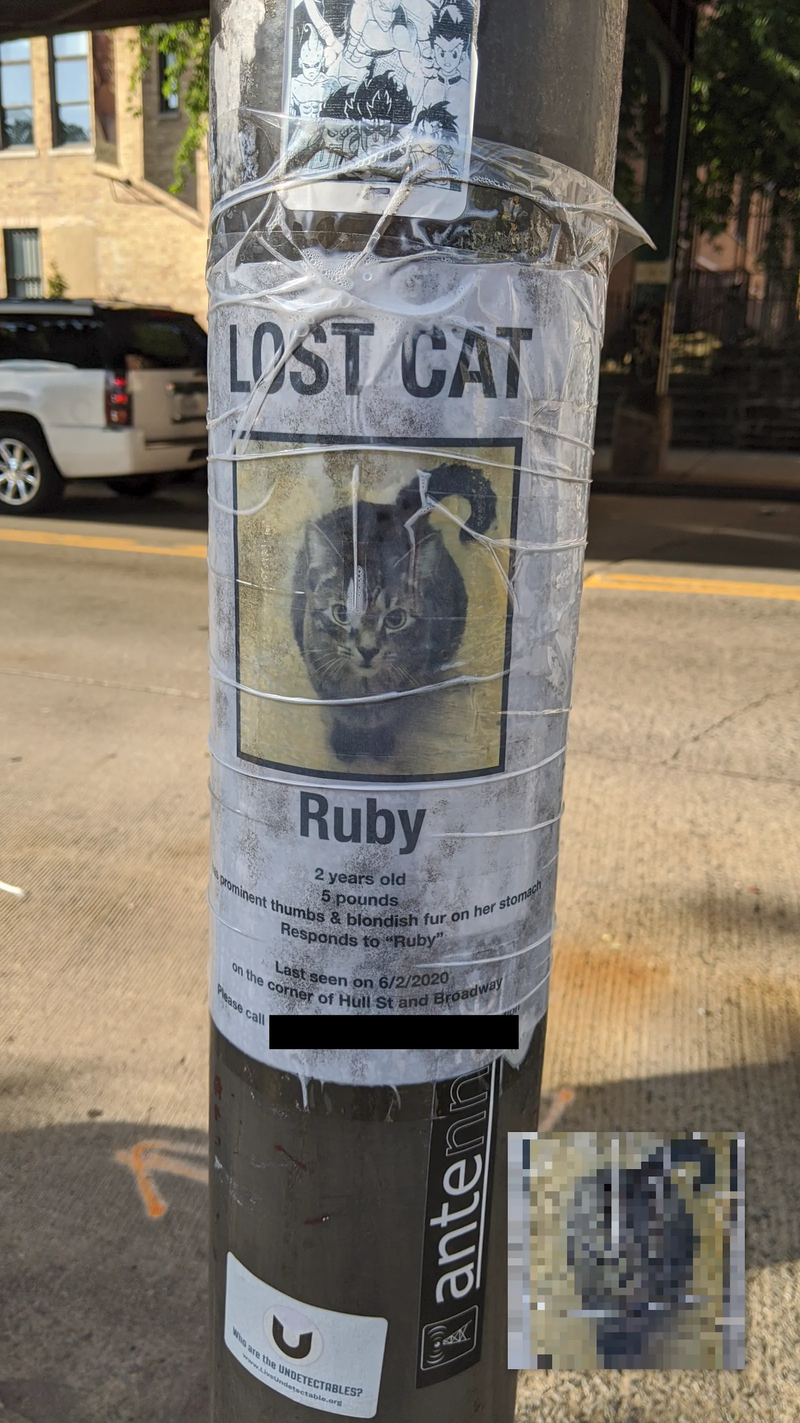 Ruby