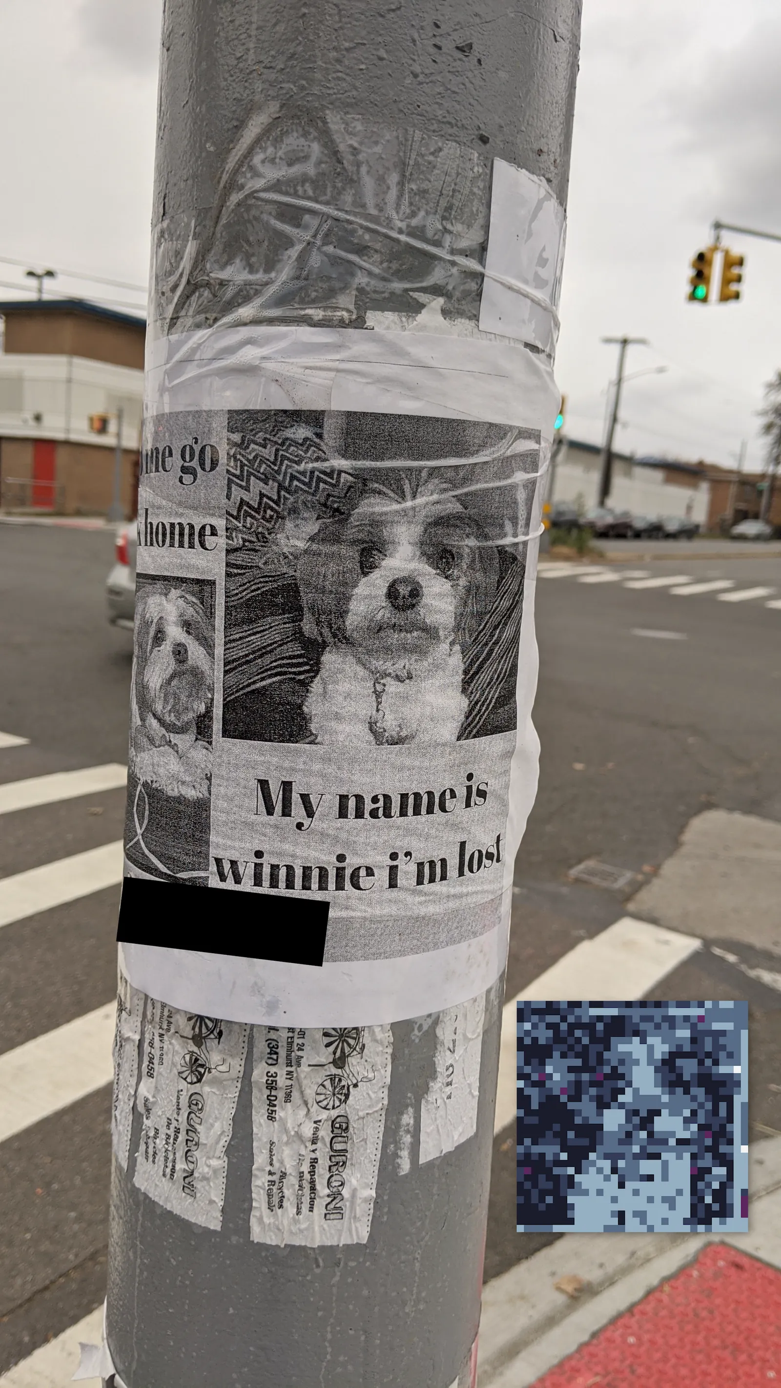 Winnie